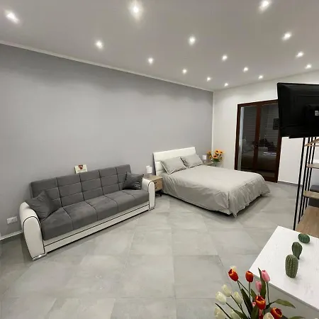 Baron's בית הארחה 4*