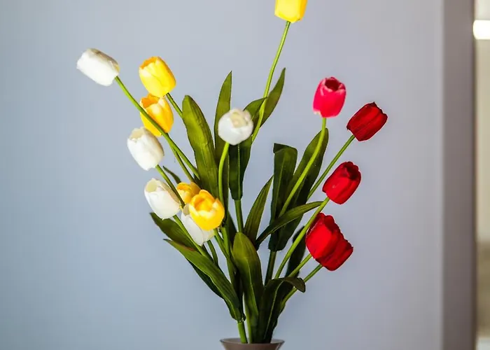 Baron's 4* باليرمو